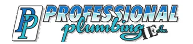 Professional Plumbing Inc